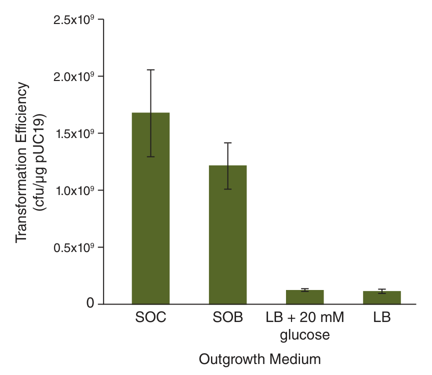 Bar graph depicting effect of outgrowth medium on transformation efficiency