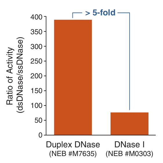 Bar graph depicting activity and preferential degradation of dsDNA over ssDNA