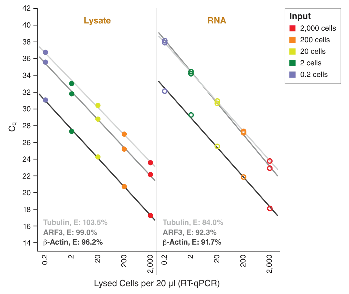 Plots of lysed cells versus Cq, depicting for Lysate and RNA at various input amounts