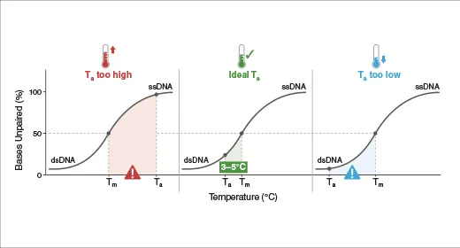 Image used for NEB.com's homepage  Review NEB's Latest Research section 0925.