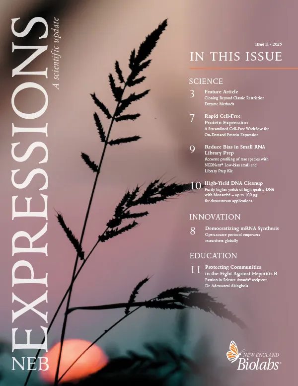 Thumbnail used for Literature Request page. Expressions 2025, Issue II.