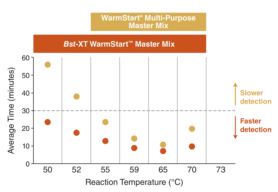 Bst-XT WarmStart™ Multi-Purpose LAMP/RT-LAMP 2X Master Mix (with