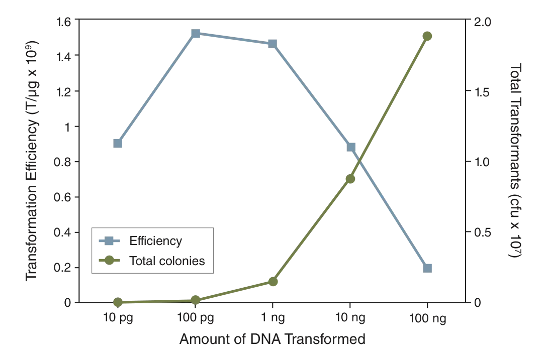 Line graph depicting DNA effects on transformation efficiency and colony output