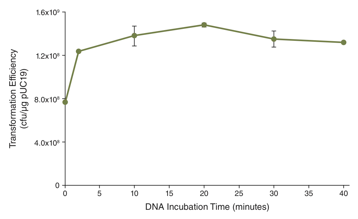 Line graph depicting effect of DNA incubation time on transformation efficiency