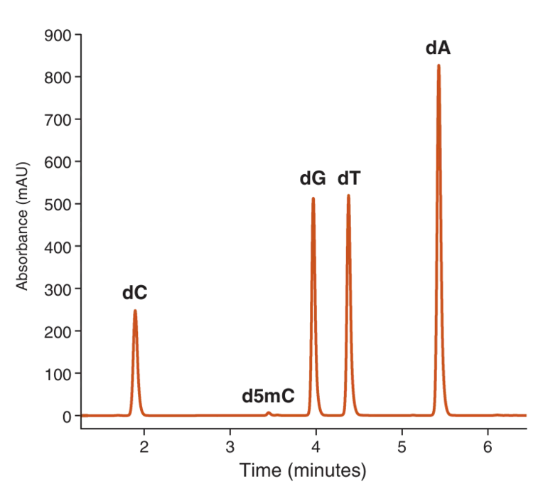 Absorbance tracing versus time, using Nucleoside Digestion Mix