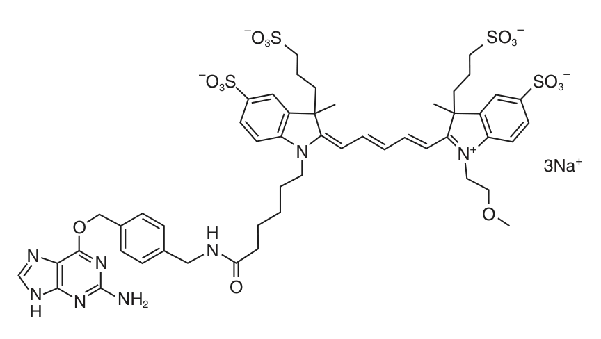 SNAP-Surface® 649 structure
