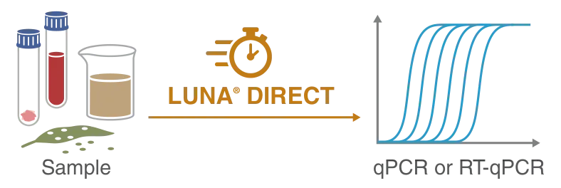 Luna Direct infographic, depicting direct workflow from sample to qPCR or RT-qPCR