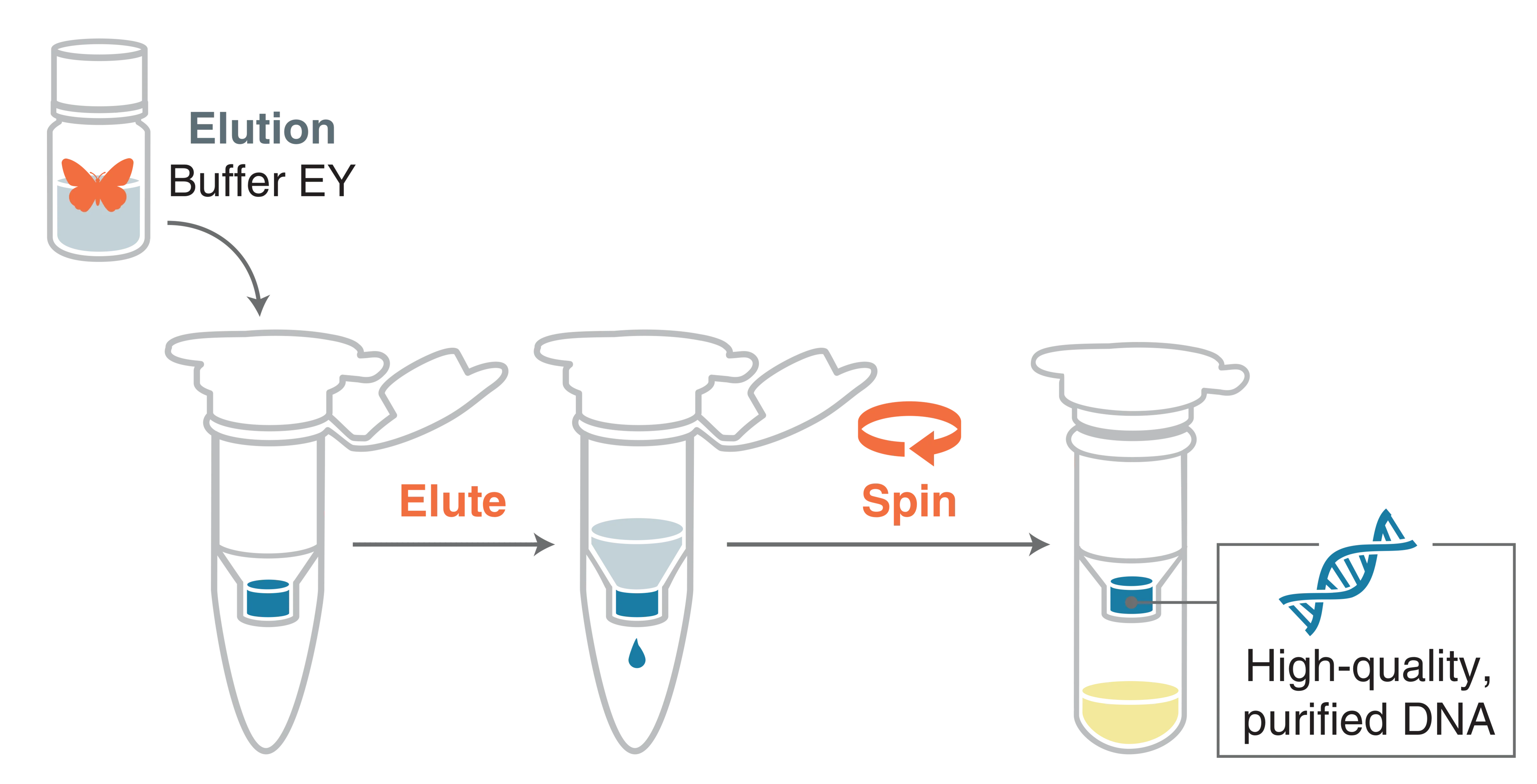 Infographic showing the elute step