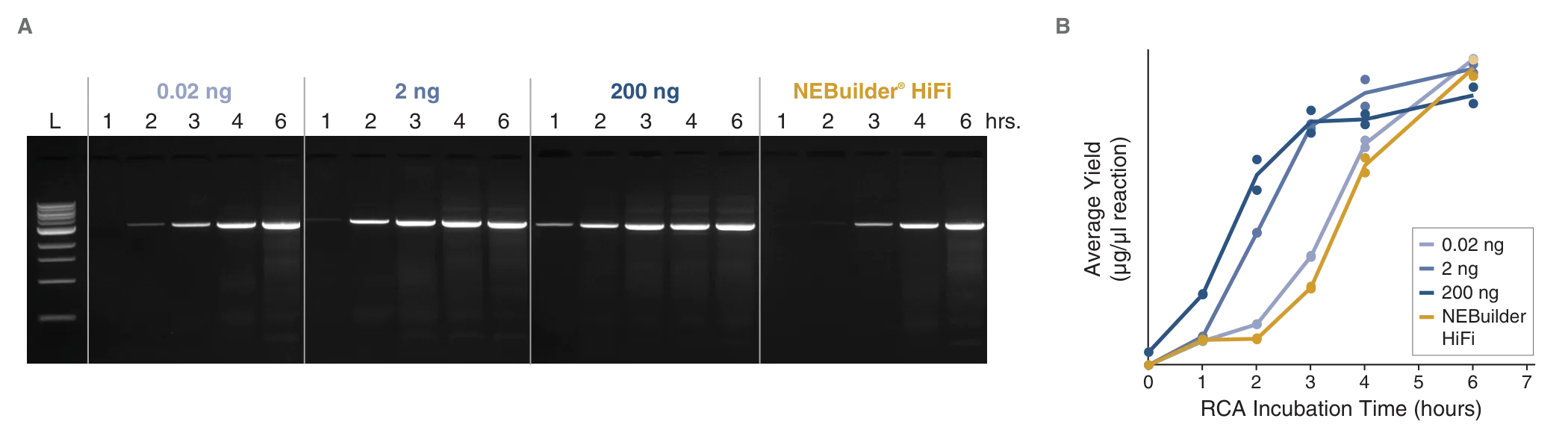 Gel and line graph comparing various inputs for EnClose Cell-free dbDNA Synthesis Kit, as compared to NEBuilder HiFi