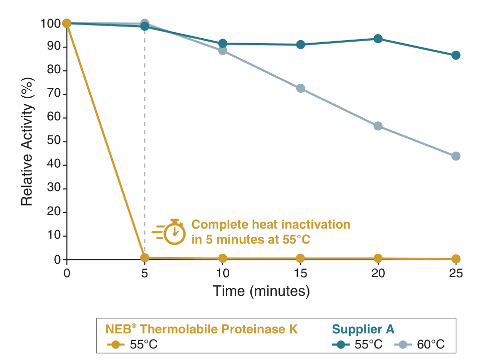 Line graph showing complete heat inactivation in 5 minutes at 55°C with NEB® Thermolabile Proteinase K