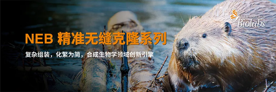 2026 新春启航，NEB 中国 25 周年“科研四季献礼” 春季篇正式开启！