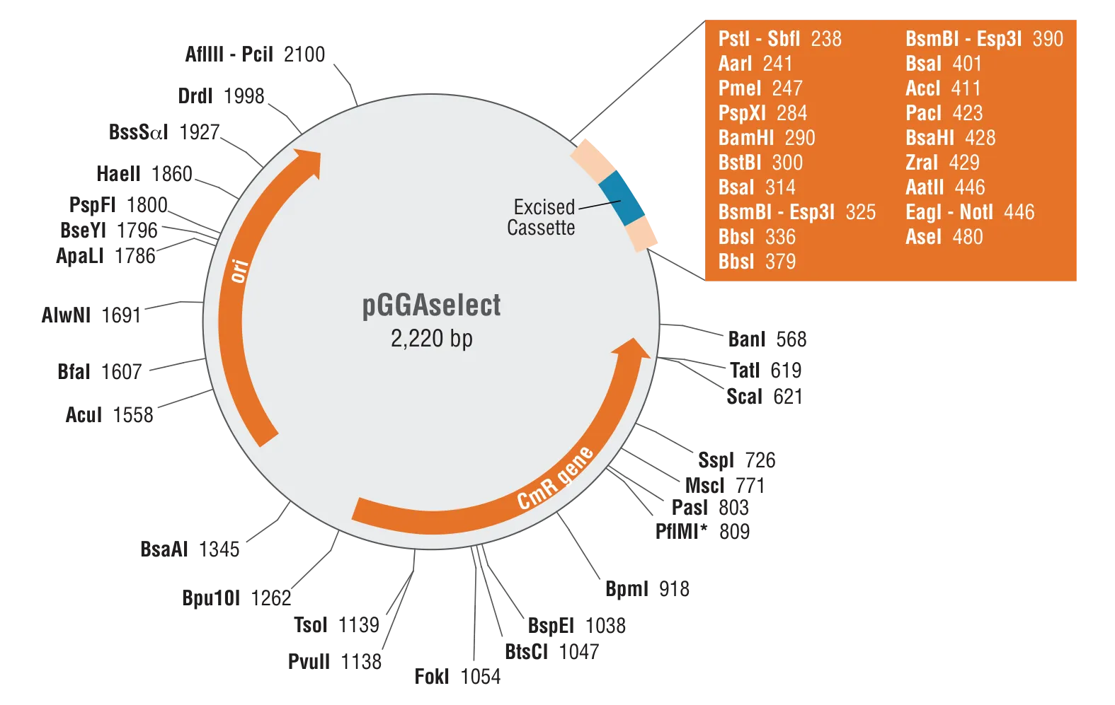 pGGAselect map