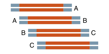 NEBuilder usage guideline: 750 bp x 4, 15-bp overlap