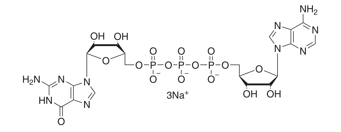 Structure of G(5')ppp(5')A RNA Cap Structure Analog