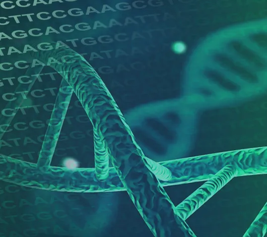 Collage of sequence and DNA double helices