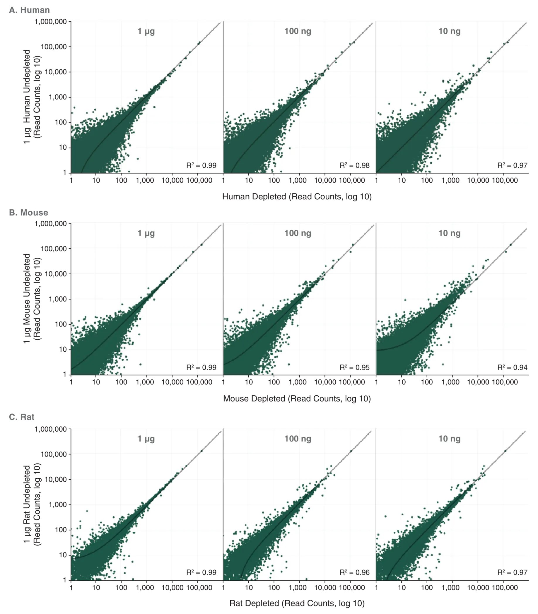 Correlation plots indicating correlation preservation across a wide range of inputs for human, mouse and rat samples