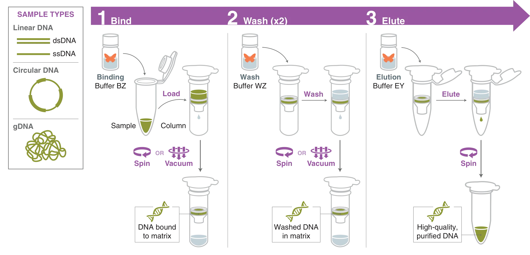 Workflow for Monarch® Spin High-Capacity DNA Cleanup Kit