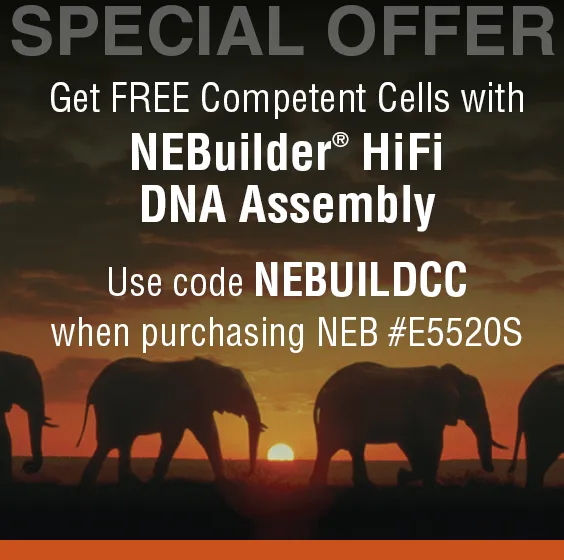 NEBuilder Special Offer that ends on 073125