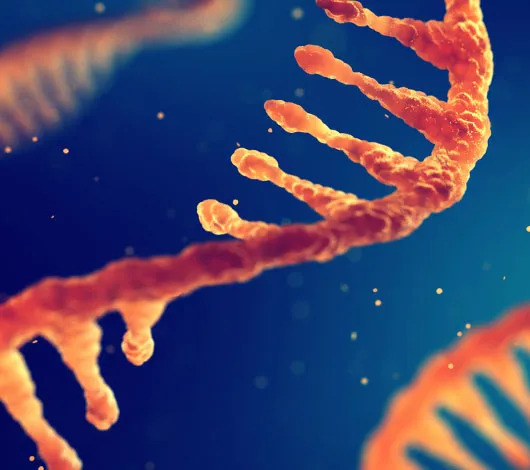 Rendering of RNA strands