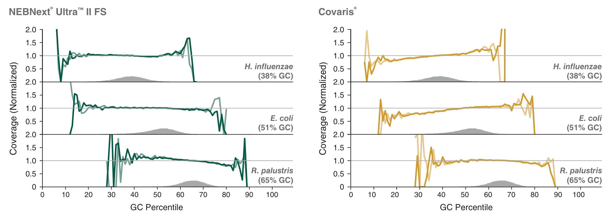 GC coverage across broad range of GC composition for NEBNext Ultra II FS DNA Library Prep