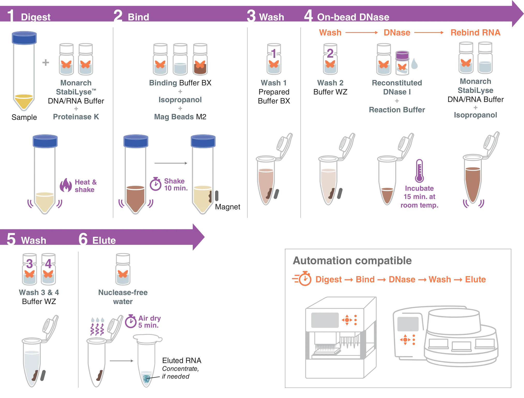 Monarch Mag Cell-free RNA (cfRNA) Extraction Kit workflow