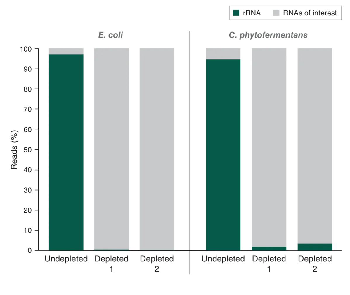 Bar graphs depicting RNA enrichment across monoculture species, E. coli and C. phytofermentans