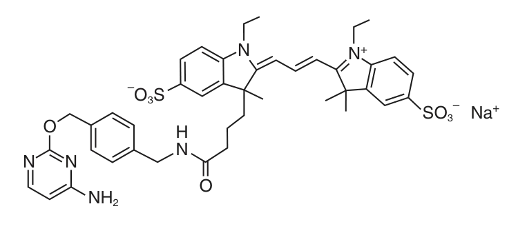 CLIP-Surface™ 547 structure