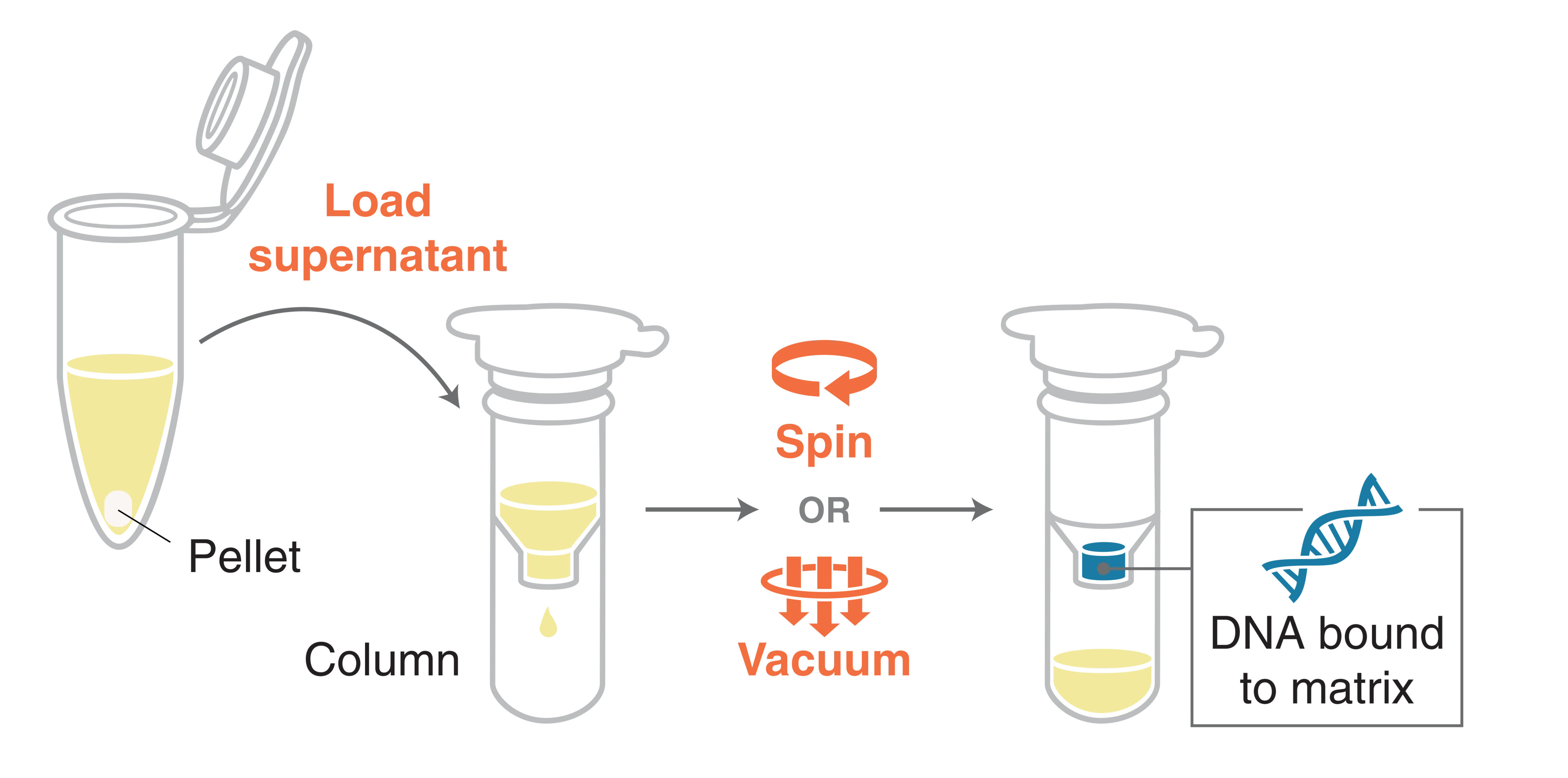 Infographic showing the bind step