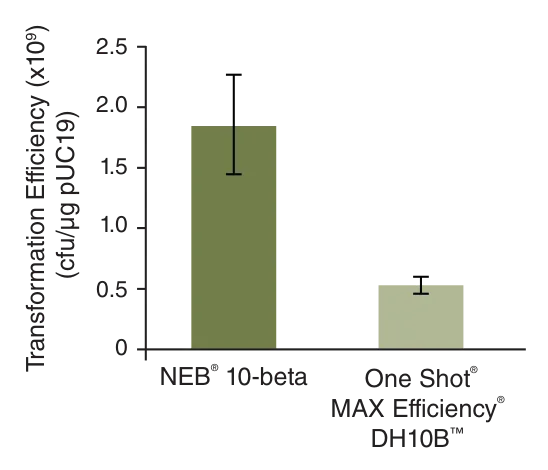 Bar graph comparing transformation efficiency