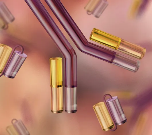 Collage of antibody with scFv fragments, with NEBinspired logo