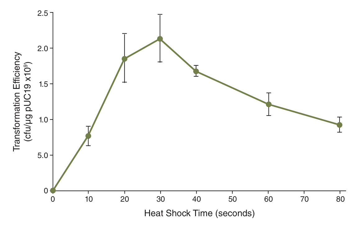 Line graph showing transformation efficiency versus heat shock time