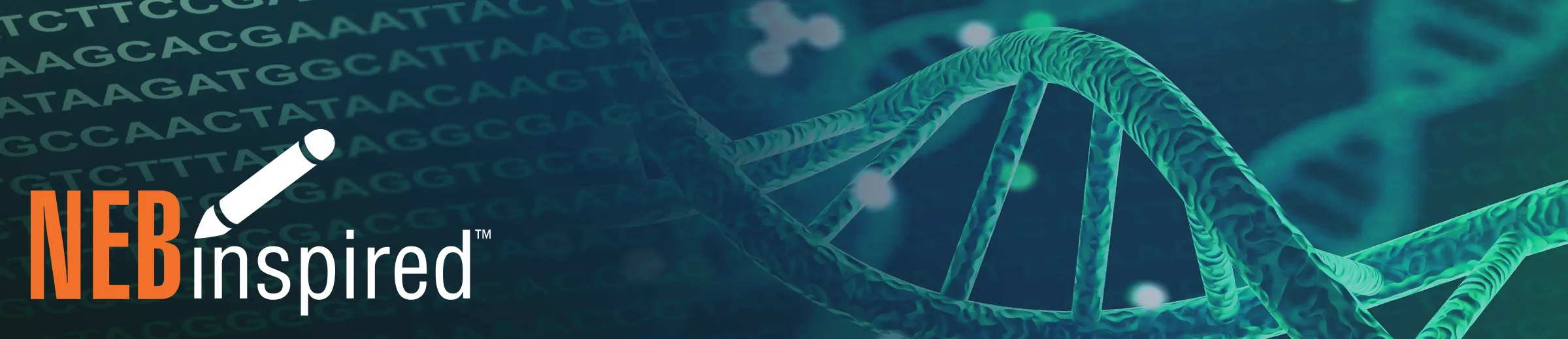 Collage of sequence and DNA double helix, with NEBinspired logo