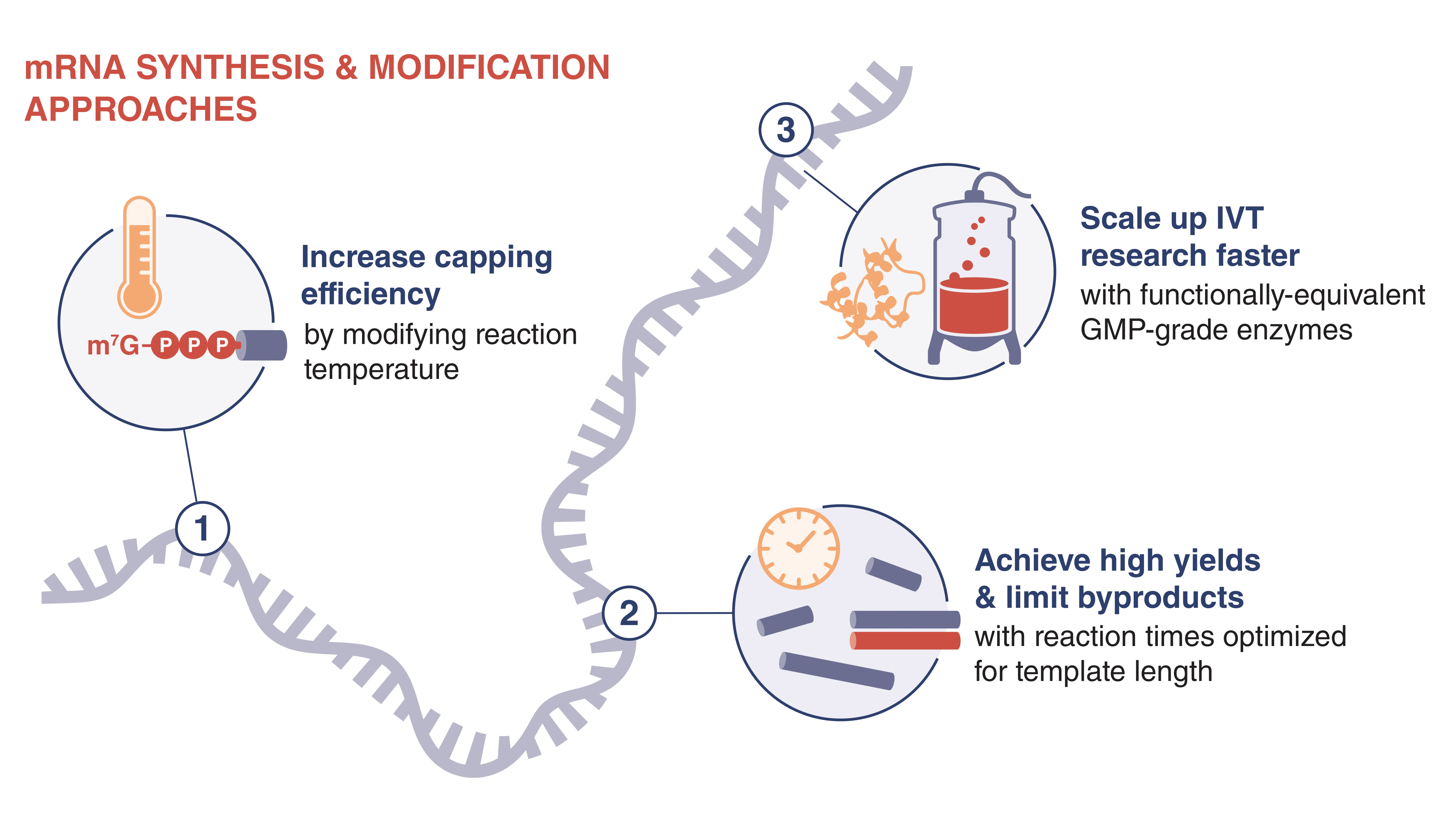 Infographic of mRNA synthesis approaches