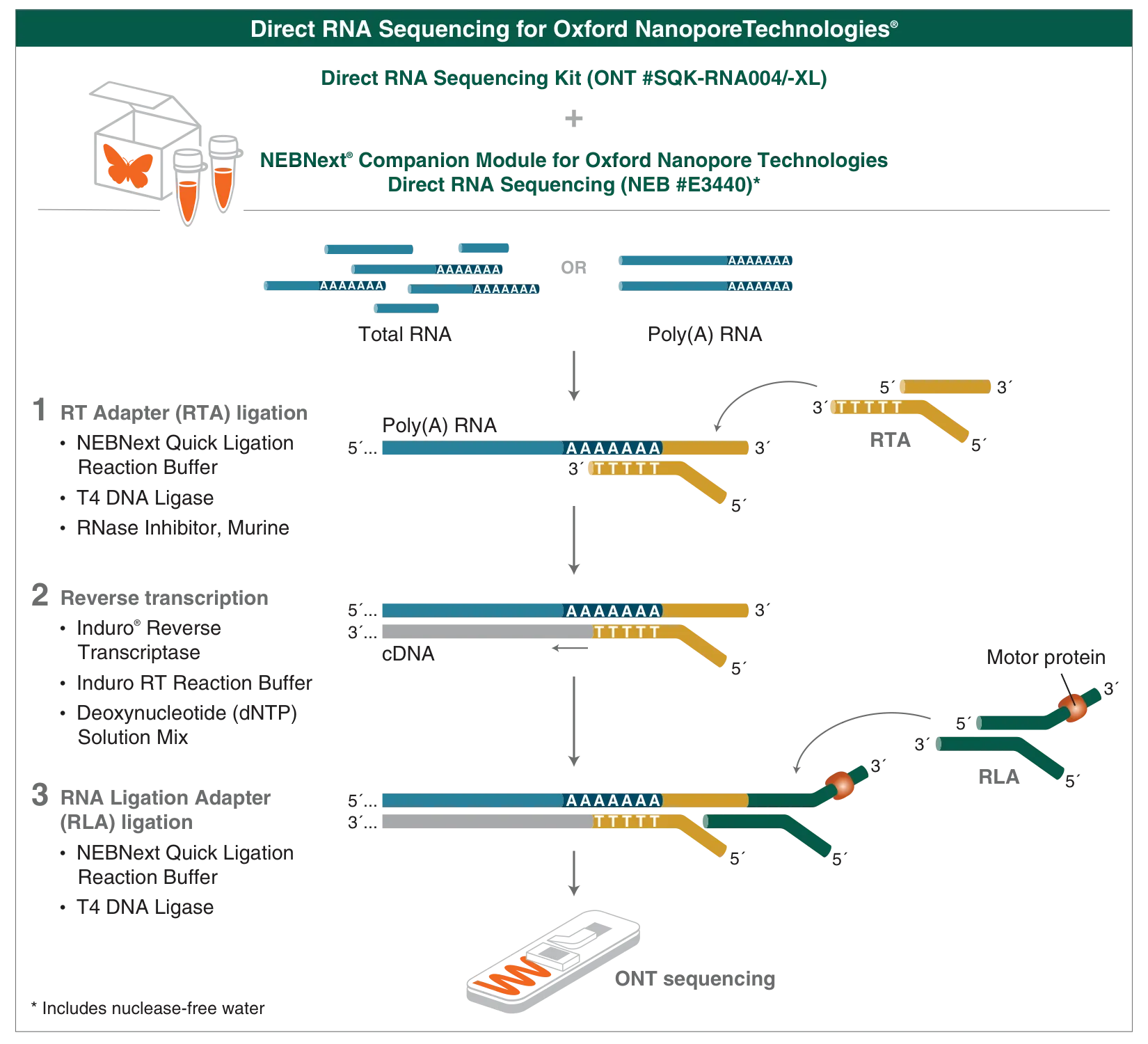 NEBNext Companion Module for Oxford Nanopore Direct RNA Sequencing workflow