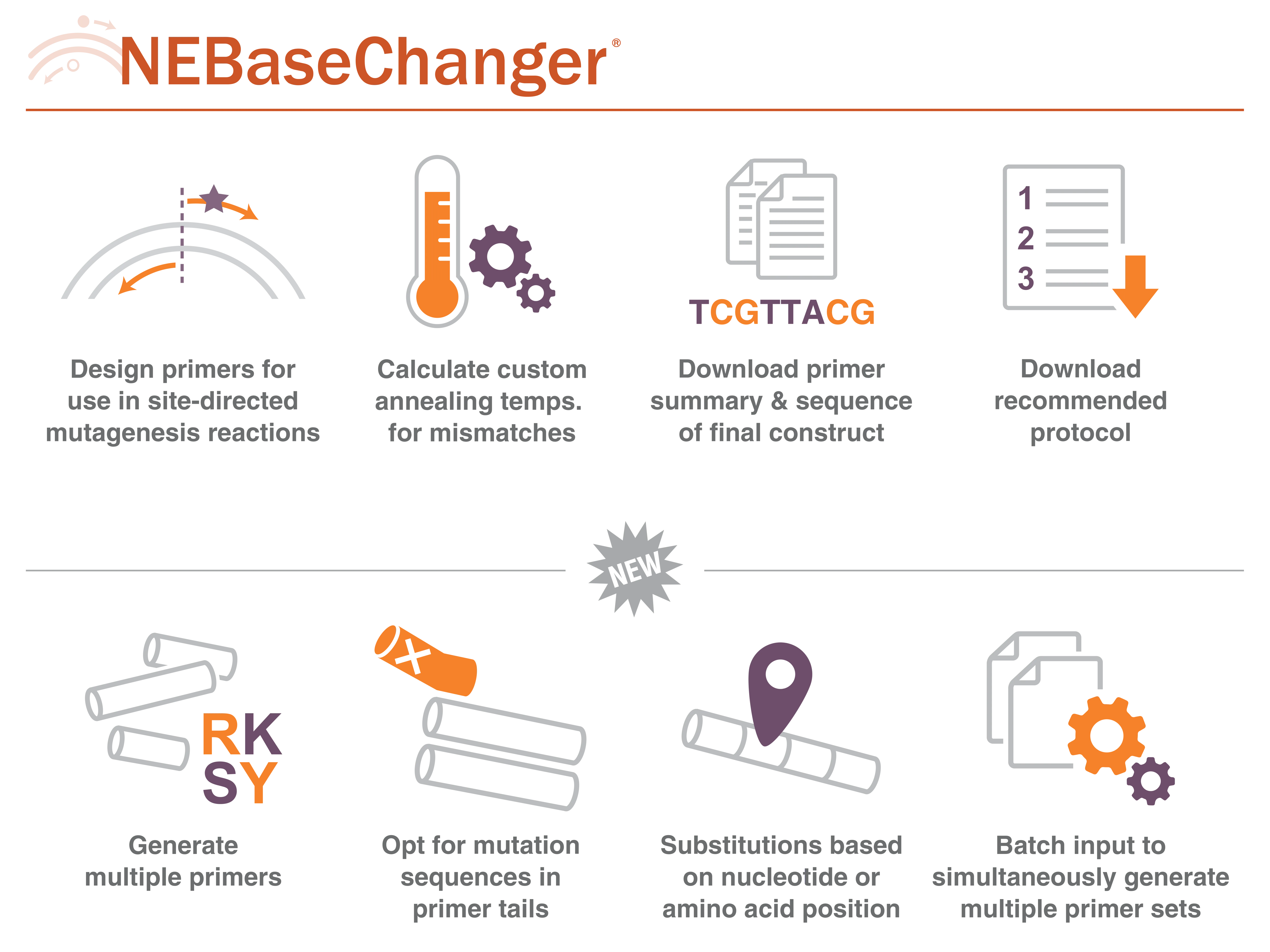 Infographic showing NEBase Changer features