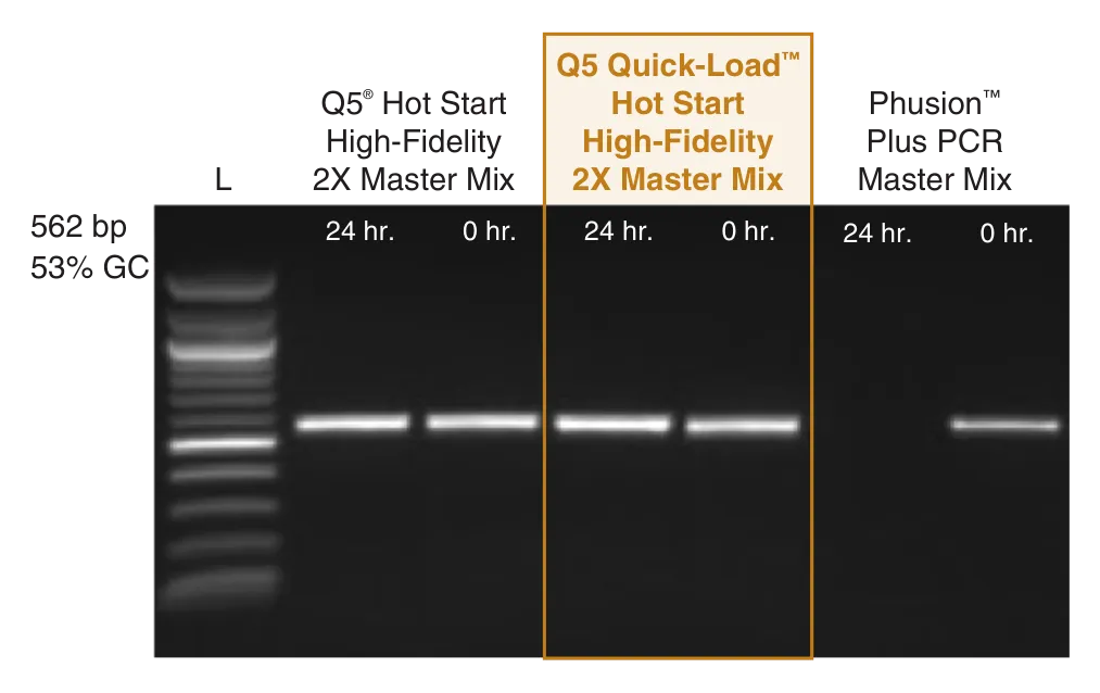 Gel depicting room-temperature stability with Q5 Quick-Load Hot Start High-Fidelity DNA Polymerase