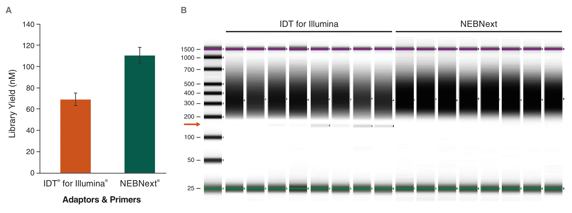 Bar graph and gel depicting yield and purity