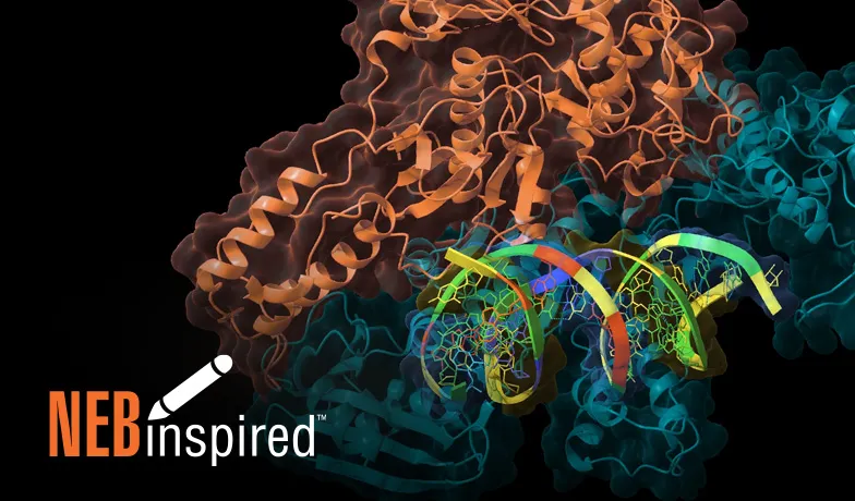 Google Ad for Reverse Transcriptase