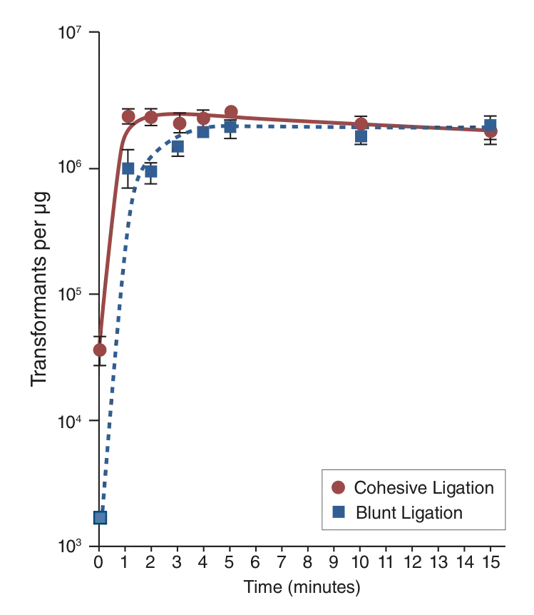 Ligation time course graph for cohesive and blunt ligation