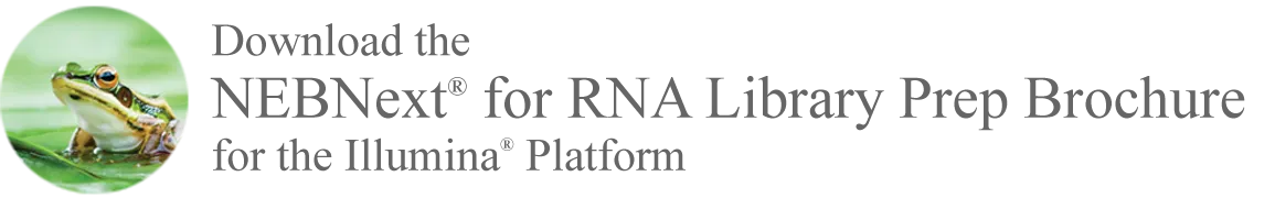 [frog thumbnail] Download the NEBNext® for RNA Library Prep Brochure for the Illumina®