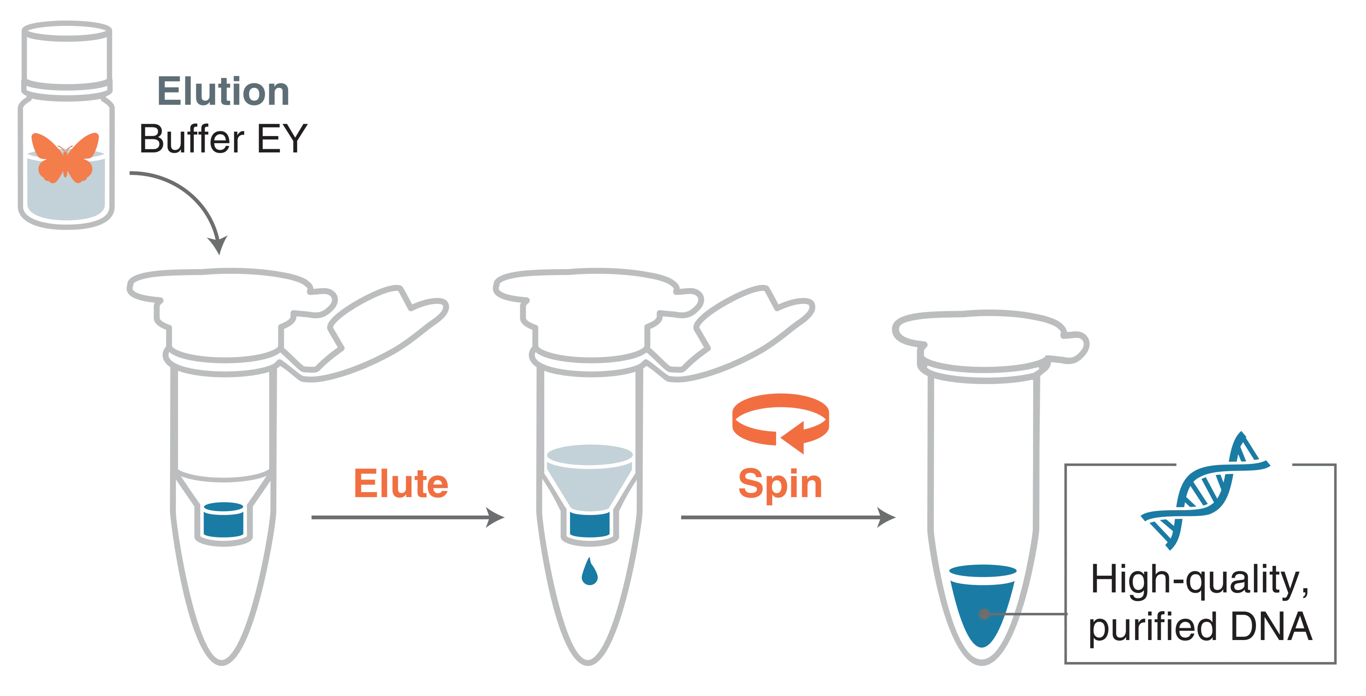 Infographic of Elute