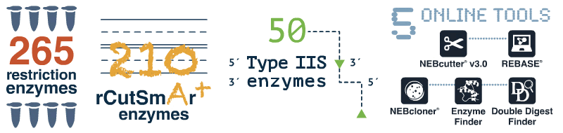 Animated infographic of NEB restriction enzyme statistics