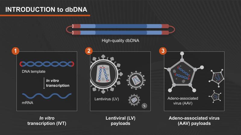Still frame of dbDNA tutorial animation video
