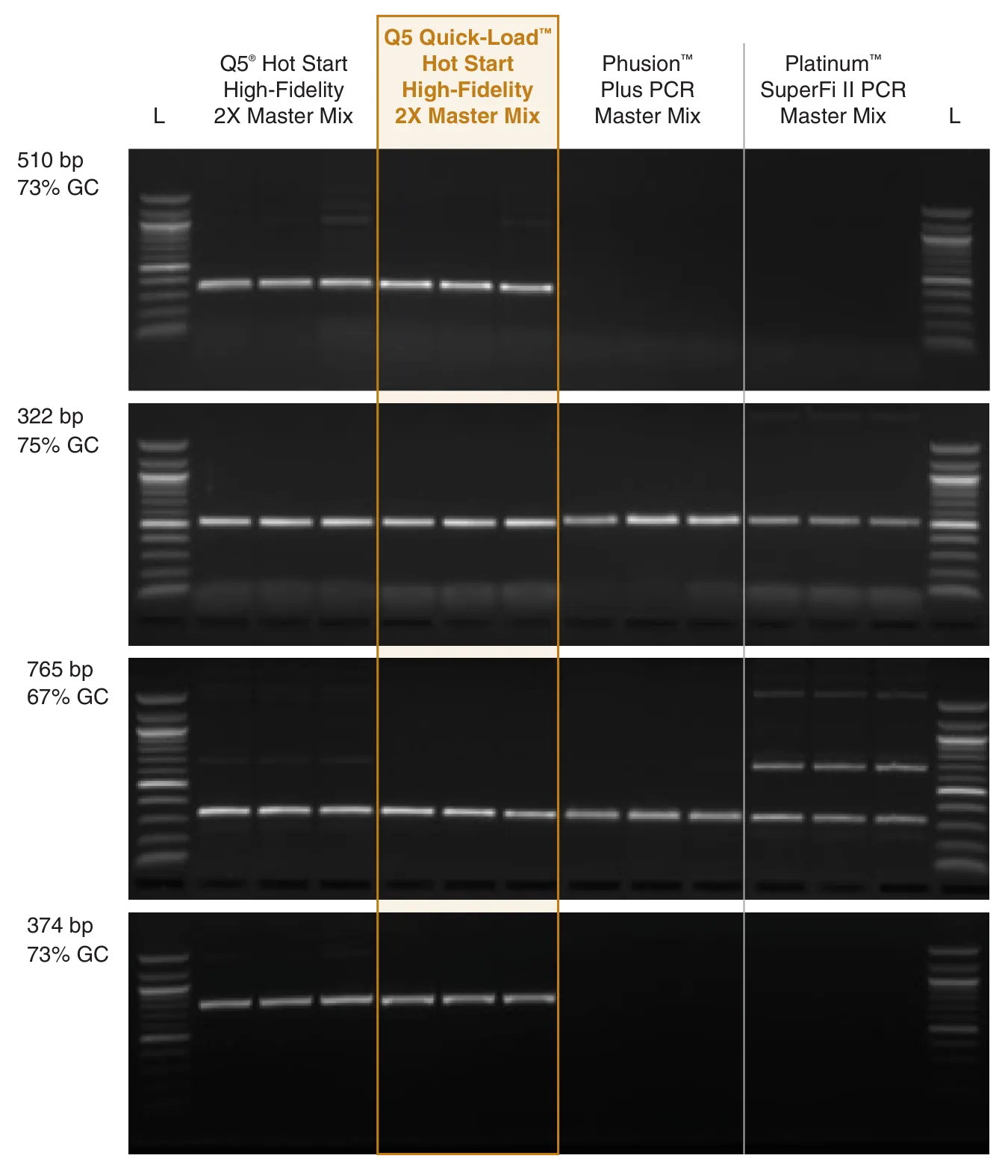 Gel depicting amplification of GC-rich targets with Q5 Quick-Load HotStart High-Fidelity DNA Polymerase