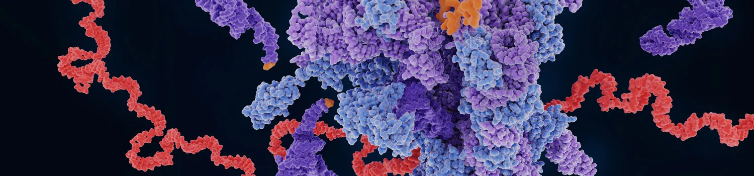 Kim Lab | NEB