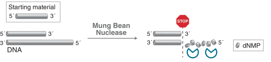 Diagram of mechanism