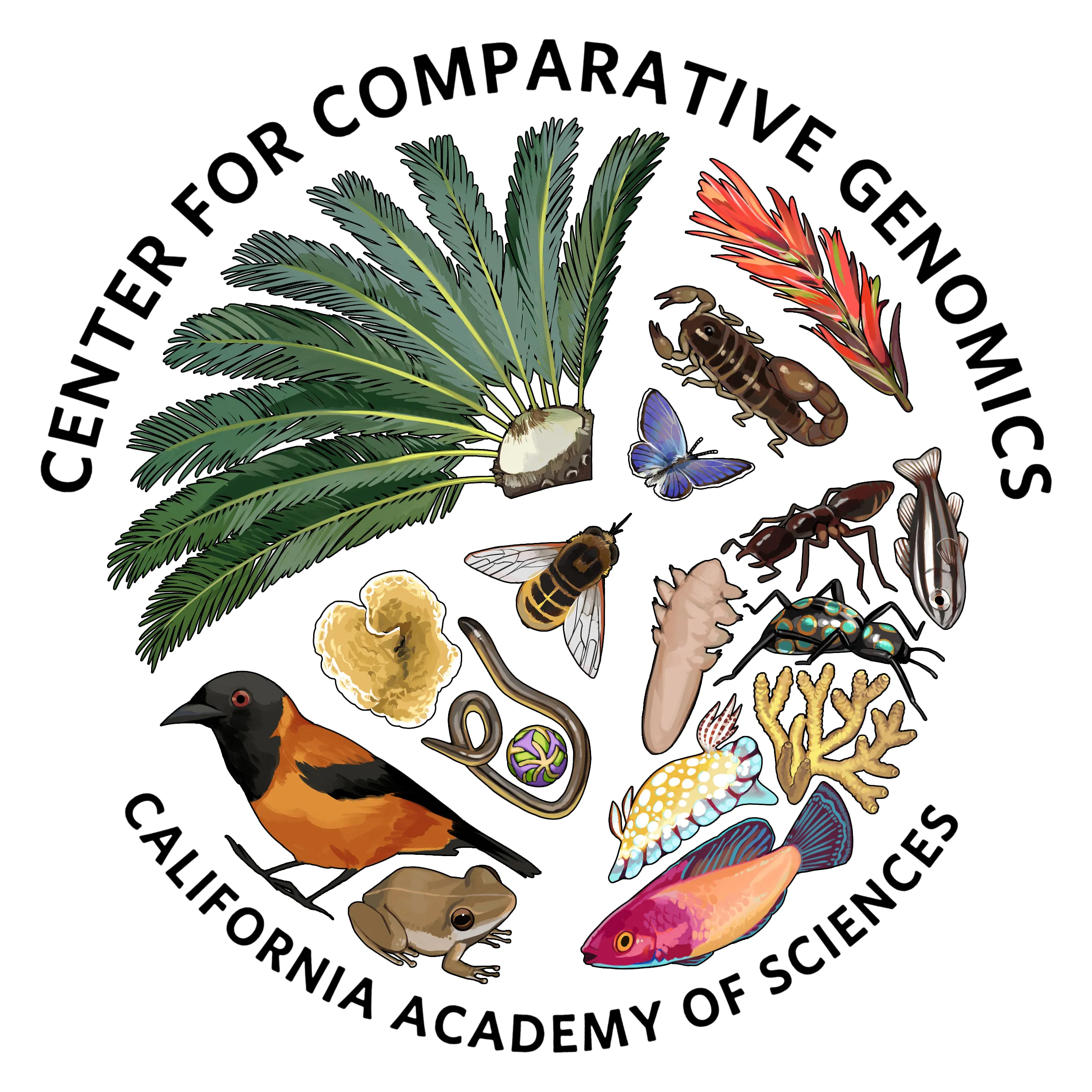 Center For Comparative Genomics – California Academy of Sciences Logo