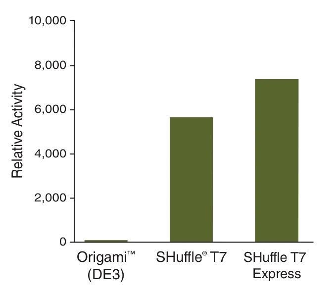 Bar graph comparing relative chitinase activity for various strains