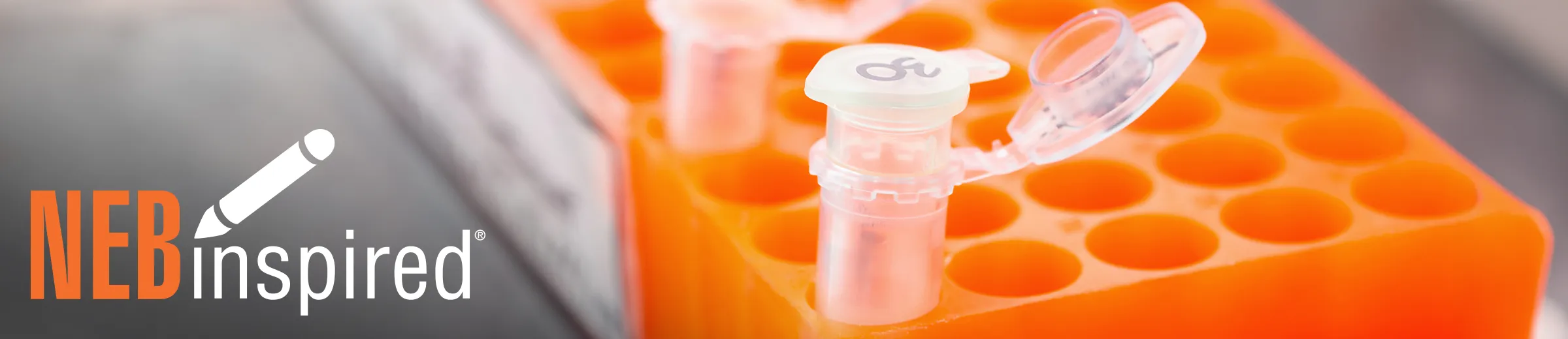 Rack of tubes and columns for nucleic acid purification and extraction, with NEBinspired logo