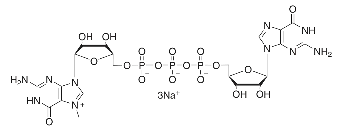 Structure of m7G(5')ppp(5')G RNA Cap Structure Analog